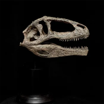 Giganotosaurus Galvos Kaukolės Skeletas Modelis Carcharodontosauridae Dinozaurų Pav Gyvūnų Kolektorius Švietimo Dekoro GK Dovana Žaislai