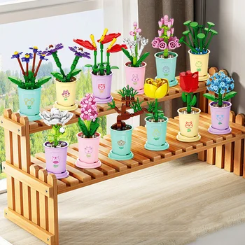 Kinų zodiako ženklas Mini Augalai Tarnyba & Kambario Dekoro Succulents Gėlės Pastato Žaislai , Botanikos Surinkimo Komplektas