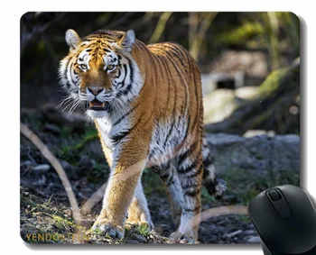 Pelės Padas Neslystantis,Tigras Predator Ilčių 174630 Pelės Kilimėlis Su Prisiūta Kraštas