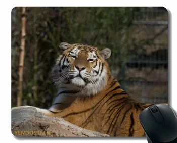 Pelės Padas Asmeninį,Tigras Predator Didelis Katė Guli 112525 Žaidimų Pelės Kilimėlis